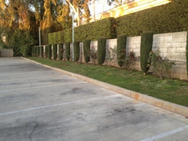 Todo 8 Motel image 26